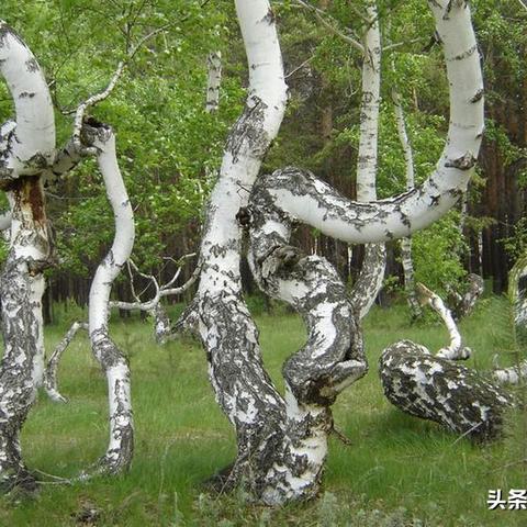 《时间旅者：重生曙光》2025秋发售！巢穴求生预告震撼来袭
