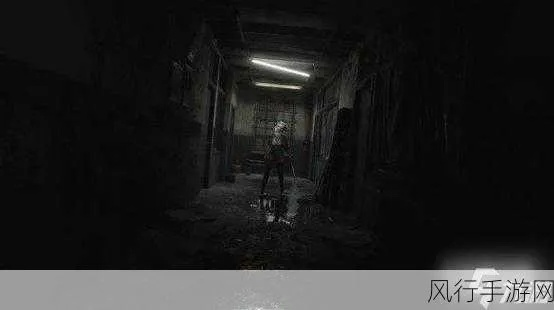 《寂静岭F》高画质畅玩攻略：必备配置大揭秘