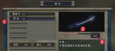 《鬼武者2高清版》配置揭秘：最低配置一览，轻松畅玩！