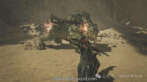 《怪物猎人荒野》崩溃解决攻略！快速修复技巧大公开