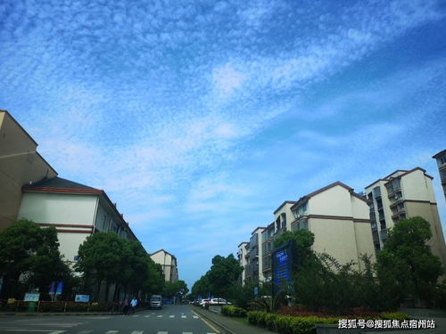 《少女前线2寇尔芙ETs型技能解析：实战效果揭秘》