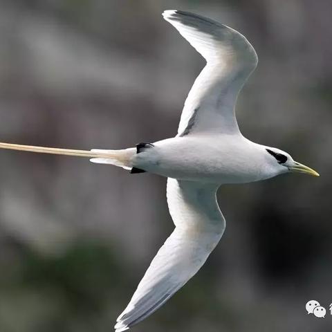 《太阳之子》评测：挑战极限的益智一笔画游戏体验