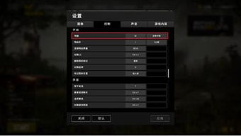 《潜行者2》优化攻略：轻松调整分辨率与帧数技巧