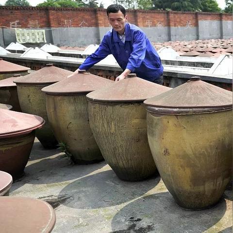 奇趣博物馆攻略：新手必看玩法揭秘