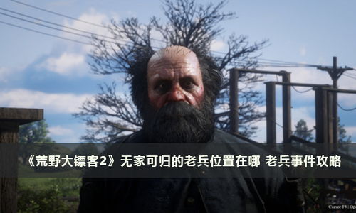 《荒野大镖客2》老兵藏身之谜：无家可归老兵位置揭秘