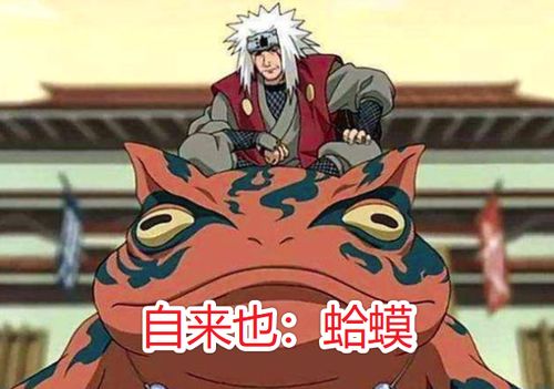 《火影忍者》奇拉比尾兽化攻略：打造无敌阵容！