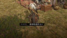《荒野大镖客2神射手5挑战攻略：轻松通关秘籍》