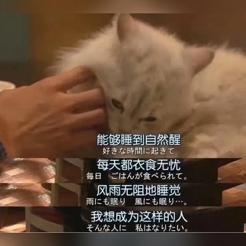 咸鱼之王爬塔无敌阵容曝光！平民玩家必备攻略！