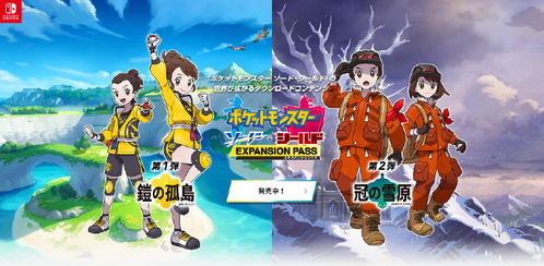 《宝可梦剑盾DLC评测：冠之雪原，惊喜超越期待》