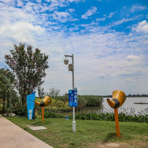 《绝区零》引力邂逅攻略：揭秘第二天玩法技巧