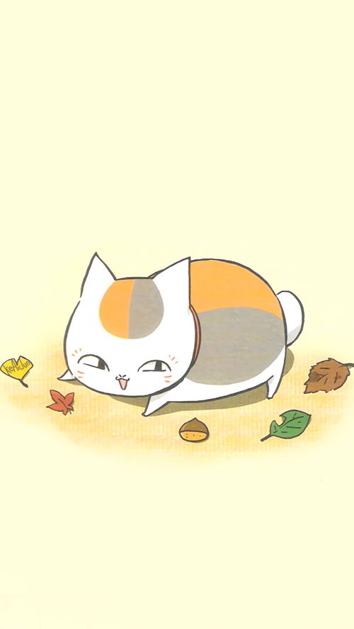 《夏目友人帐》猫咪老师隐藏位置大揭秘！