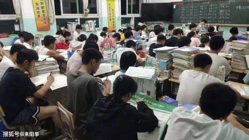 《橙血校园：揭秘四名不良女高的秘密》