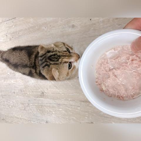 《莱恩岛烹饪秘籍:生存必备美食攻略》 《莱恩岛烹饪秘籍:生存必备美食攻略》