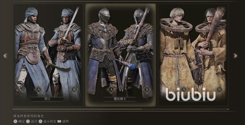 《艾尔登法环》角色皮肤大揭秘：黑夜君临风采全览