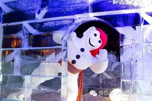 《泡姆泡姆》豪华版独家内容盘点：不容错过的亮点揭秘