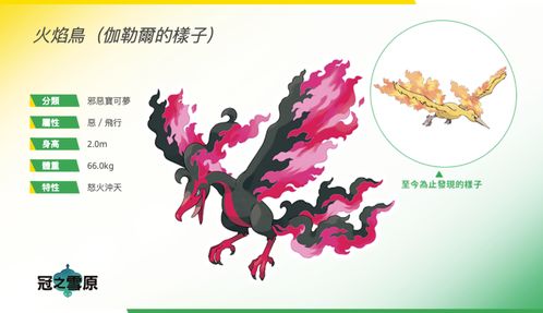三神鸟捕捉攻略：独家秘籍，轻松入手！