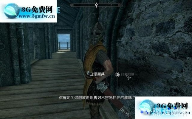上古卷轴5吞噬者任务攻略：高效通关秘籍大公开