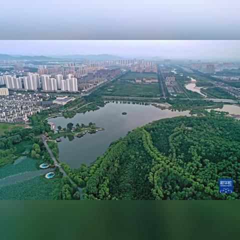 《特殊行动：一线生机》评测：沙尘中的现代启示录，生存挑战大揭秘