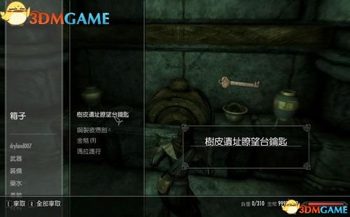 《上古卷轴4重制版》燃烧之路攻略：高效完成支线任务技巧