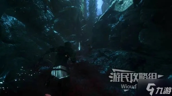《光与影33号远征队》飞流域全收集秘籍曝光
