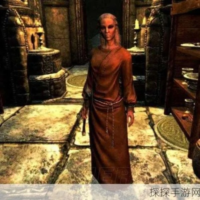 上古卷轴4法师攻略：重制版最强法师玩法揭秘