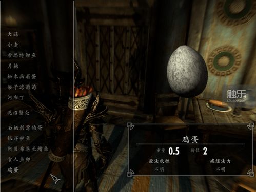 《上古卷轴4》无限开锁！骷髅钥匙+魔神器万能钥匙获取攻略揭秘
