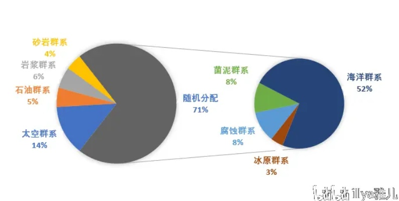 《揭秘超维计划：资源分配策略深度解析》