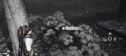 《燕云十六声》箭术任务速成攻略，轻松提升箭术技巧