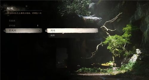 《黑神话悟空》三冬虫全图攻略：冬虫夏草精准捕捉路线解析
