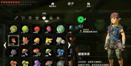 《荒野之息》防寒服攻略：轻松获取方法大揭秘