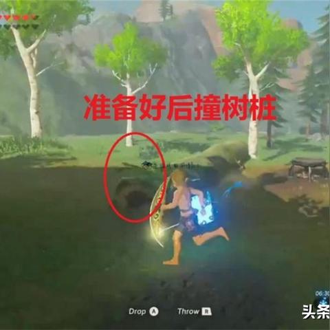 《塞尔达传说》盾反技巧揭秘：林克时间触发攻略！