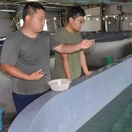 《无限暖暖》绸带鱼高效采集点揭秘！🐟