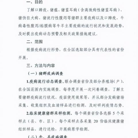 《炉石传说》疫病DK卡组攻略：2025年最强玩法揭秘