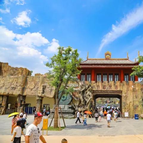 《悟空奇境解锁攻略：黑神话地图获取秘籍》