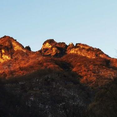 《无限暖暖》植物图鉴：揭秘采集秘境与实用攻略