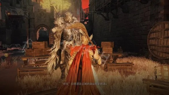 《艾尔登法环》女王玛丽戈攻略：高效打法揭秘
