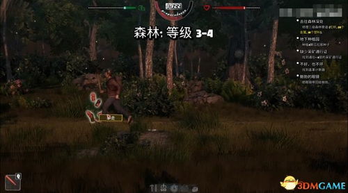 《潜行者2》红森林：揭秘神秘禁地，探索未知的冒险之旅