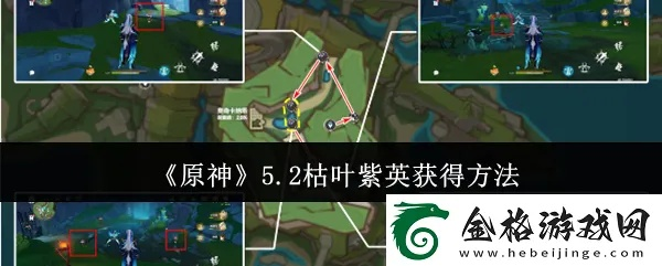 《原神》紫英采集攻略：枯叶村紫英位置速查！