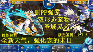 《原神》恰斯卡武器圣遗物推荐:打造强力恰斯卡攻略 《原神》恰斯卡武器圣遗物推荐:打造强力恰斯卡攻略