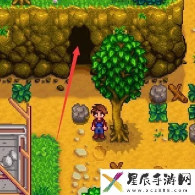 《星露谷物语》羊肚菌全攻略：高效获取指南