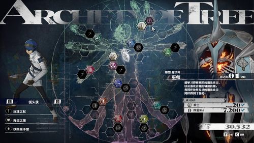 《暗喻幻想》物理队毕业配置攻略：阿基态+装备推荐
