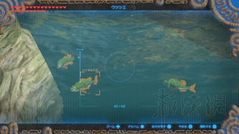 《塞尔达传说》妖精花高效获取攻略揭秘