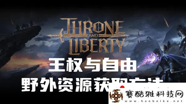 《王权自由攻略：独家鱼饵获取秘籍》