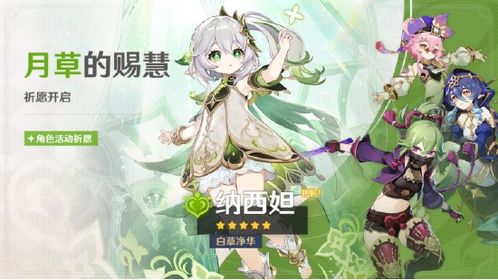 《原神纳西妲养成攻略》高效提升纳西妲实力