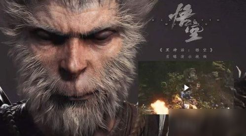 《黑神话悟空》落伽香藤全收集攻略：隐藏位置揭秘