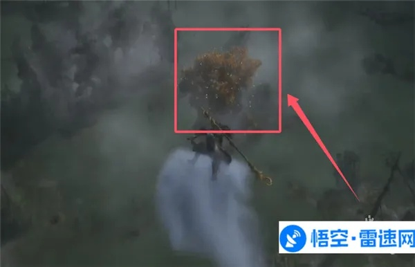 《悟空点翠飞龙釬攻略：快速获取秘籍》
