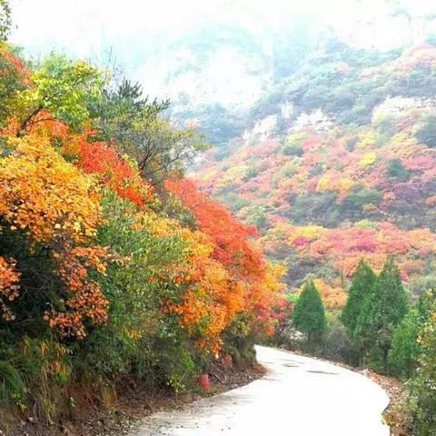 《悟空紫云山攻略：解锁秘境全步骤》