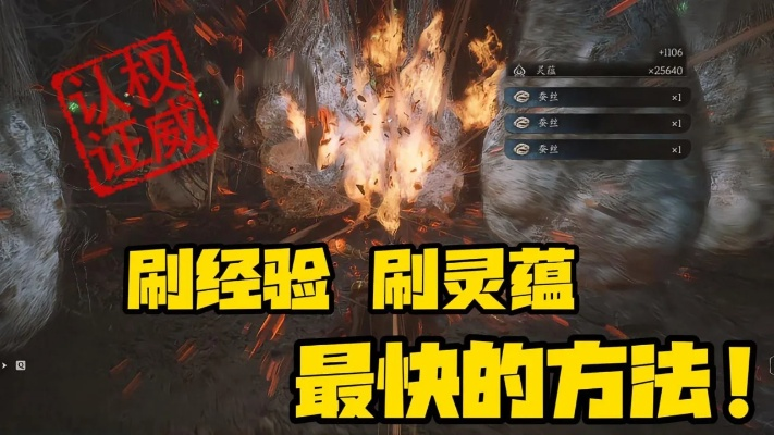 《悟空刷经验攻略：灵蕴之地高效刷级秘籍》