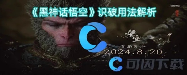 《悟空神技揭秘：黑神话悟空识破技巧，成功率翻倍！》