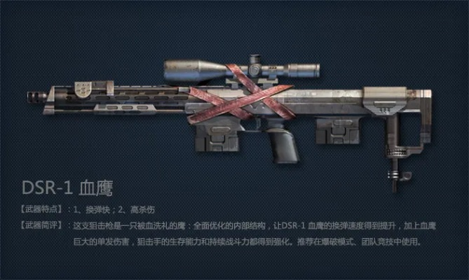 《全球使命3》DSR-1连狙评测：战场狙击王性能解析